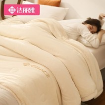 극세사 겨울 이불 국세사 세트 두꺼운 산호 양털 사무실 낮잠 플란넬 소파 침대