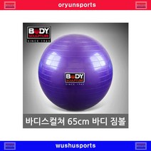 바디스컬쳐 65cm 맛사지 짐볼 마사지 헬스운동