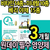원데이 멀티 비타민 미네랄 1통 종합 영양제 캐나다 비타민 b c d 항산화 마그네슘 칼슘 에너지 뼈 눈 혈액 건강 식 약 청인정 어린이 청소년 남성 여성 30대 50대 60대, 1박스(3개월)