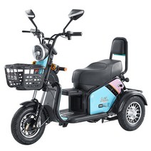 3발 오토바이 전기오토바이 삼륜전동스쿠더 출퇴근용, 배터리  디럭스 버전 48V 48V