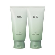 한율 어린쑥 진정맑은 클렌징폼 120g 저자극 피부진정 세안제 2개, 옵션1 어린쑥 진정맑은 클렌징폼