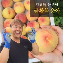 6월말부터 순차배송! [참다올] 산지직송 예천복숭아 금황(황도) 복숭아 2.5kg(12과내외), 1