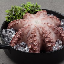 [명절] 제수용 문어 한마리 1키로 1.5kg 2kg 삶은문어 데친문어 숙회 자숙문어 돌문어 모니타니아, <a.2> 자숙 문어 1.5kg (제수용)” class=”wr-img”></a></div></p></div></p></div></p></div><div class=