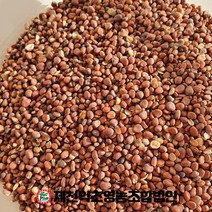수입 나복자 라복자 무우씨 500g 중국산 제천약초영농조합 제천약초시장, 1, 500