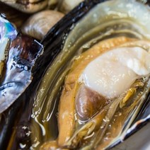 국내산 생물 키조개 1마리 제철 조개구이 관자회, 1개, 키조개(생물) 3마리