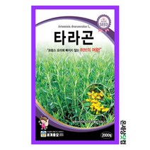 타라곤 2000립/ 허브씨앗 허브씨 허브키우기 베란다텃밭