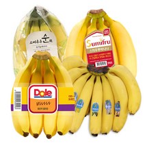 실속형_ 고당도 일반바나나 6.5kg, 1box, 실속형 돌 바나나 6.5kg