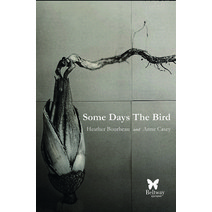 (영문도서) Some Days the Bird Paperback, Beltway Editions, English, 9781957372013