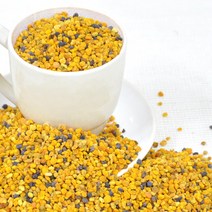 장명식품 스페인산 벌화분, 2개, 500g