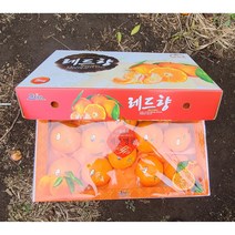 제주농장 한라봉+레드향 혼합 구성 세트 선물용 가정용 3kg 5kg 명절선물세트, 2.혼합 대과 3kg 선물용