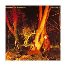 에코 앤 더 버니멘 Echo the Bunnymen Crocodiles LP 음반 바이닐 레코드 앨범