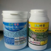 초록연꽃 네츄럴 연자방(연꽃씨방)디톡스 다이어트+연잎 와일드망고 디톡스 다이어트 셋트상품 분말700g 환500g 클렌즈 팻다운, 1개, 700g