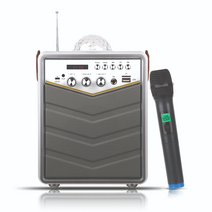 넥스트 NEXT-BT30AMP 휴대용 블루투스 노래방 앰프 스피커 마이크 미러볼 라디오 파티 공연 강의