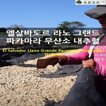 (커피생두) 엘살바도르 라노 그랜드 파카마라 무산소내추럴, 1kg, 1개