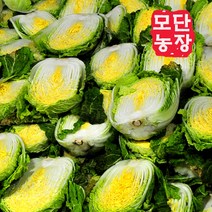 [모단농장]괴산절임배추 20kg/작은 배추(12포기이상), 3월28일출고-29일도착