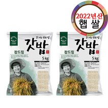그린올린 2022년산 갓밥 경기미 9분도미 5kg x 2봉, 1개