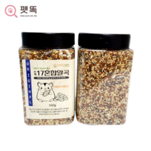 햄스터 먹이 다람쥐 앵무새 햄찌밥 간식 사료 새모이 햄스터밥 허니팜17혼합알곡 팬더마우스, 550g