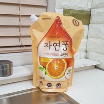 자연퐁 오렌지 리필 1.1kg, 단품