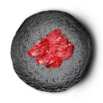 1++등급 한우 제비추리 200g, 1개