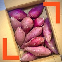 파머스넷 세척 무농약 꿀고구마 정품, 세척 무농약 꿀고구마 5kg 대(320g 이상)