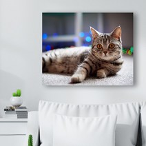 귀여운 고양이 사진 캔버스액자 (고객님 야옹이 사진으로도 제작 가능합니다), CAT16