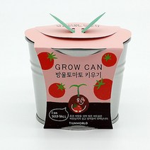 반려식물 캔화분 식물키우기 재배키트 모종키트 꽃집사 식물키트 홈가드닝, 봉선화