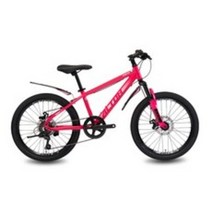 알톤스포츠 2021년형 엑시언 D MTB 자전거 미조립박스배송, 핑크, 150cm