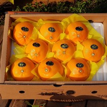 제주 천혜향 3kg(9~13수 대과 선물용) 그윽한 향과 팡팡 터지는 과즙 품격있는 선물세트