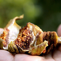 [더스위티] 무화과 말랭이 함평 무농약 건무화과 100g, 1개, [더스위티] 말랭이100g