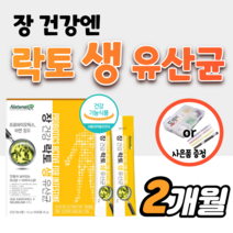 락토 생 유산균 장 건강 에 좋은 아기 유아 베베 키즈 딸기맛 어린이 비피더스균 가루 스틱 프로바이오 프로바이오틱스 아연 40대 임산부 중년 남성 50대 60대 여성 갱년기 약1달, 2박스