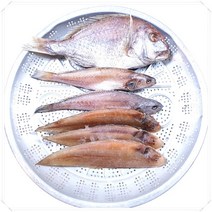 남해안 삼천포 반건조생선 제수용 세트, 제수용세트1호