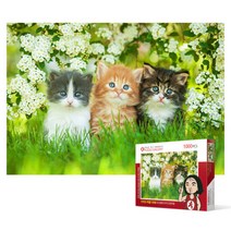 1000피스 직소퍼즐 - 흰 꽃밭의 아기고양이들, 단품, 단품