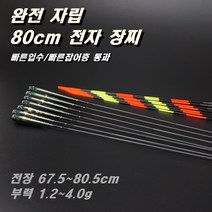 80cm 완전자립 전자 장찌 민물 전자찌 스마트찌 민물낚시찌 하우스 찌 중층 수제 고부력 저부력 내림 나노 올림찌 장찌, PQ12(79cm/2.5g)