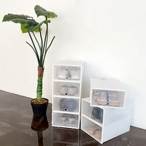 조립식 신발보관함 (L) 5개입 운동화 정리대 모자 진열장 케이스, 단품, 단품