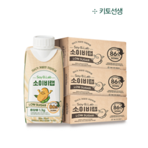 [당일발송] 키토선생 소이비랩 저당 두유 200ml x 18개입 (설탕무첨가 무가당), 200ml x 54팩