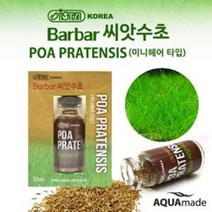 이스타 바바 씨앗수초 미니 헤어글라스 S (1개입)