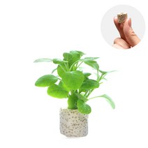 헬로아쿠아 모음)미니링포트 초보수초 수족관 어항장식용 수족관꾸미기, 26번) 미니링포트 로벨리아