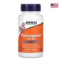 나우푸드 피크노제놀 60mg 프랑스 해안송 아세로라 루틴 분말 식물성캡슐 50개 50일분, 1개, 기본