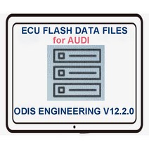 2022 ODIS 엔지니어링 Flashdaten ECU 펌웨어 플래시 데이터 파일 AUDI ODISE V12.2.0 소프트웨어 필요 없음 HWID 활성화, 이메일로 보내기