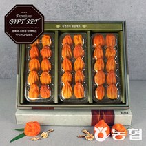 농협 고품격 장성 대봉 반건시 곶감 선물세트, 1박스, 3호