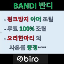 재고전화문의 필수 / 2022BIRO 바이로전기자전거 Bandi A 스완타입 PAS모드 20인치_17Ah, 화이트