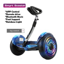 성인 전동휠 호버보드 스쿠터 나노휠 세그웨이 전동휠 왕발통, 밤하늘 LW