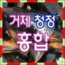 거제청정 홍합 4kg 당일채취 당일발송