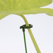 식물지지대 화초 지주대, 18cm