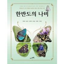 한반도의 나비:한반도의 나비 279종의 분류와 생태 영문 해설 수록, 지오북, 주흥재