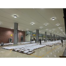 목포 자연산 갈치 먹갈치 당일경매, 5마리 손질전 1.5kg 내외, 1개