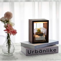 우드 플랜테리어 테라리움 무드등 만들기 DIY 키트, 풀 패키지