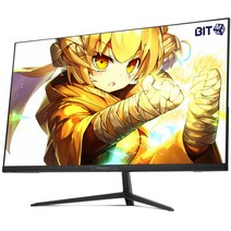 비트엠 Newsync 277PQ IPS 리얼 100 노블 게이밍 HDR 일반 모니터
