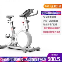 스피닝 자전거 실내 싸이클 홈트, 자기 제어 모델 White-8 catti