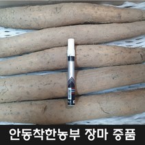 22년산 햇안동 장마 알뜰마 10키로, 장마중품5kg